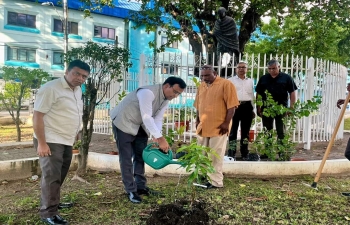 The High Commission planted saplings in the vicinity of the statue of Mahatma Gandhi at Kew Place, Port of Spain on August 8, 2024. 